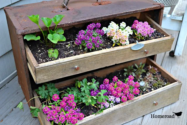 Fill a vintage toolbox with dirt and flowers
