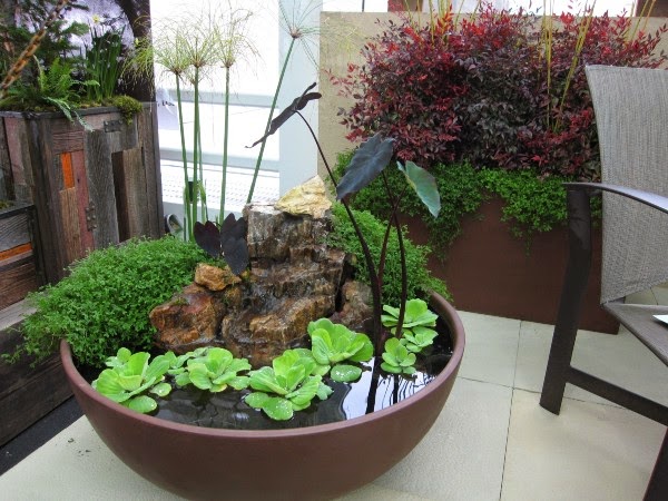Tips for the home garden during September