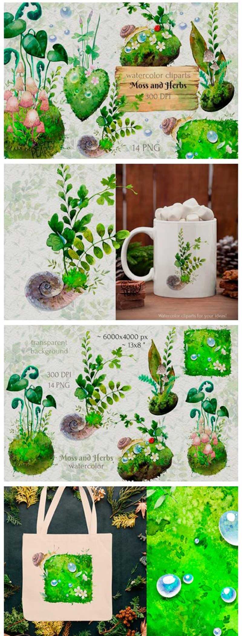 Watercolor Cliparts of Forest Moss, Herb 14972107 2 hgjkmfgjhfdr