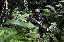 Satgas Gabungan TNI Polri Serbu Markas OPM di Papua dan Berhasil Tewaskan 5 Orang