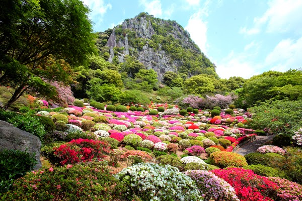 bouncing around in everyday life: beautiful places in japan