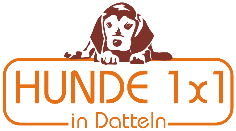 Hunde 1x1 in Datteln, Kreis Recklinghausen Neuigkeiten im Neuen Jahr 2014