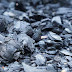 Everything You Should Know About Activated Charcoal 2019