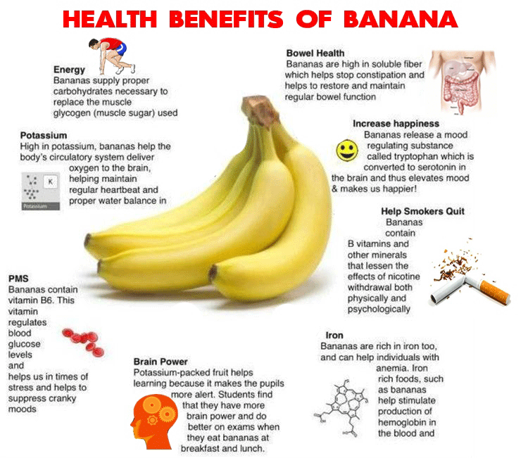 Are Bananas High In Fat 51