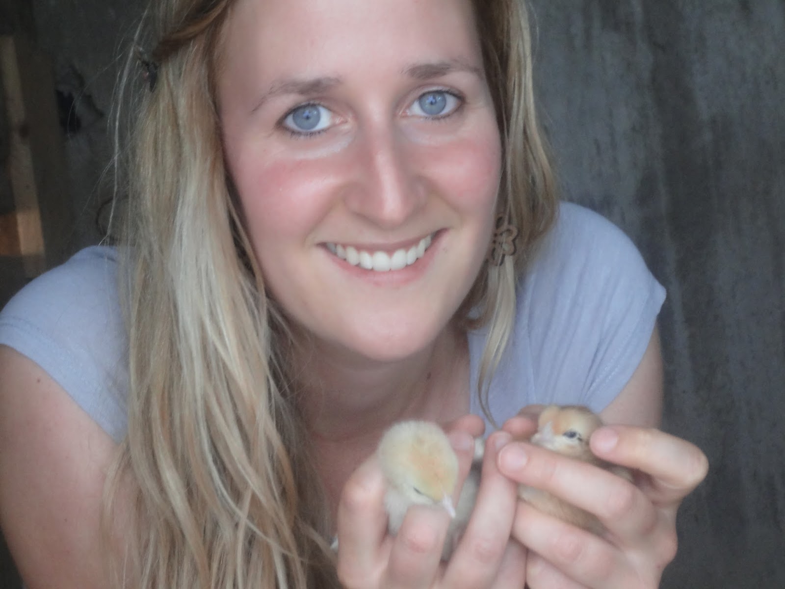 Was Gab Es Zuerst Das Huhn Oder Das Ei