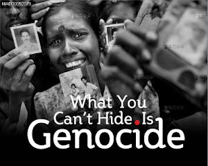 The Aetiology of Genocide