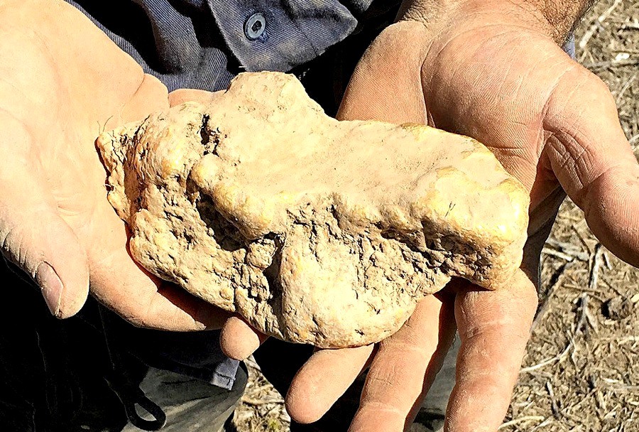 This Australian Man Found a Massive 4kg Gold Nugget Geology In