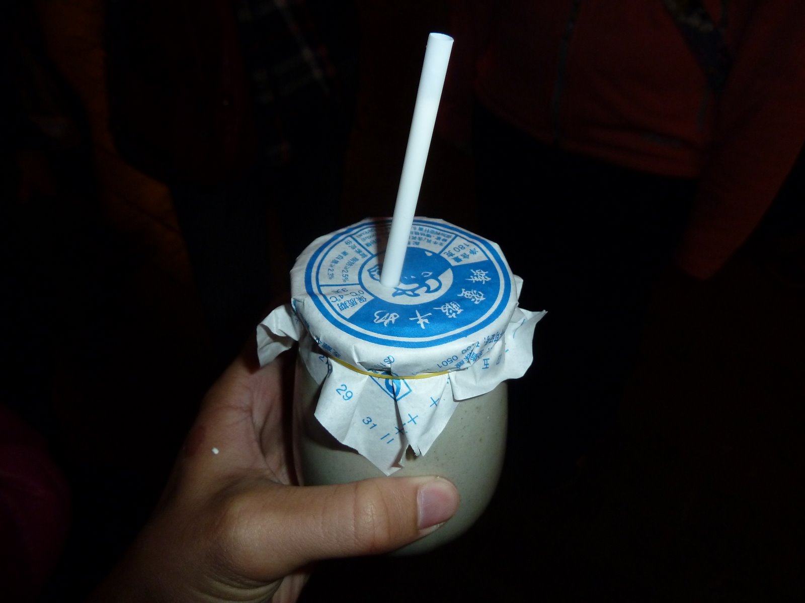 a starving missionary's guide to the world Old Beijing Yogurt.
