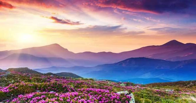 15 Sifat Sifat Malaikat Dan Dalilnya Habibullah Al Faruq