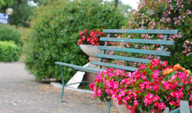 in our garden - CASA SANTO SPIRITO