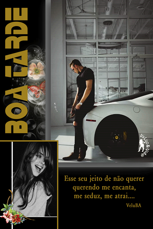 novo48-%2528MB%2529maryluz.gif