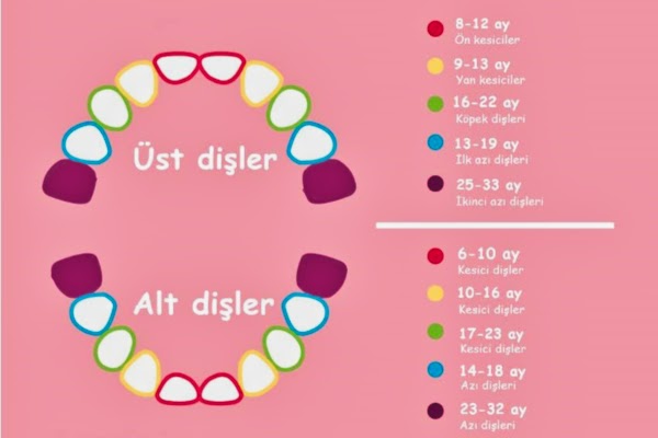 Bebekler Diş Çıkartırken Ateşlenir Mi? Tıbbi Mit Avcısı