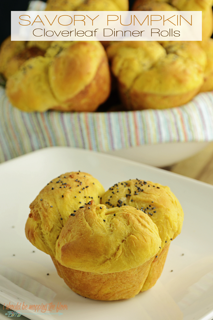 Savory Pumpkin Cloverleaf Dinner Rolls | Perfectly pumpkin and yeasty delicious rolls for your holiday table.