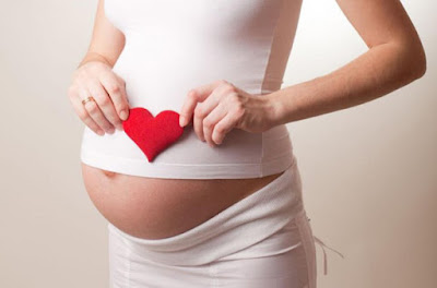 Cơ chế tác dụng của yến sào với bà bầu và thai nhi như thế nào?
