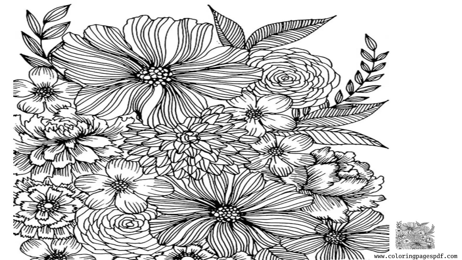 Coloring Page Of Wide Flowers Mandala