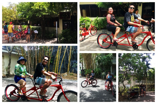 Fun biking at Plantation Bay Fun biking at Plantation Bay. Day users can get a free use of bike for 30 minutes.