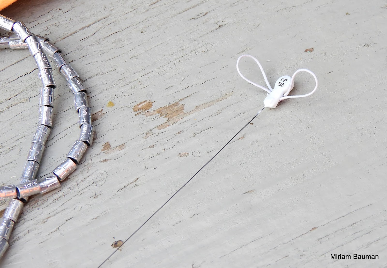 Radio Tagging Barn Swallows (Hirondelles rustiques) at SpruceHaven and Blaze Farm Travels With