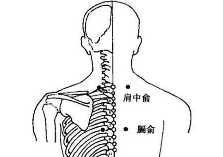 膀胱經很重要，常揉按，捏脊疏通氣機(腰酸背痛)