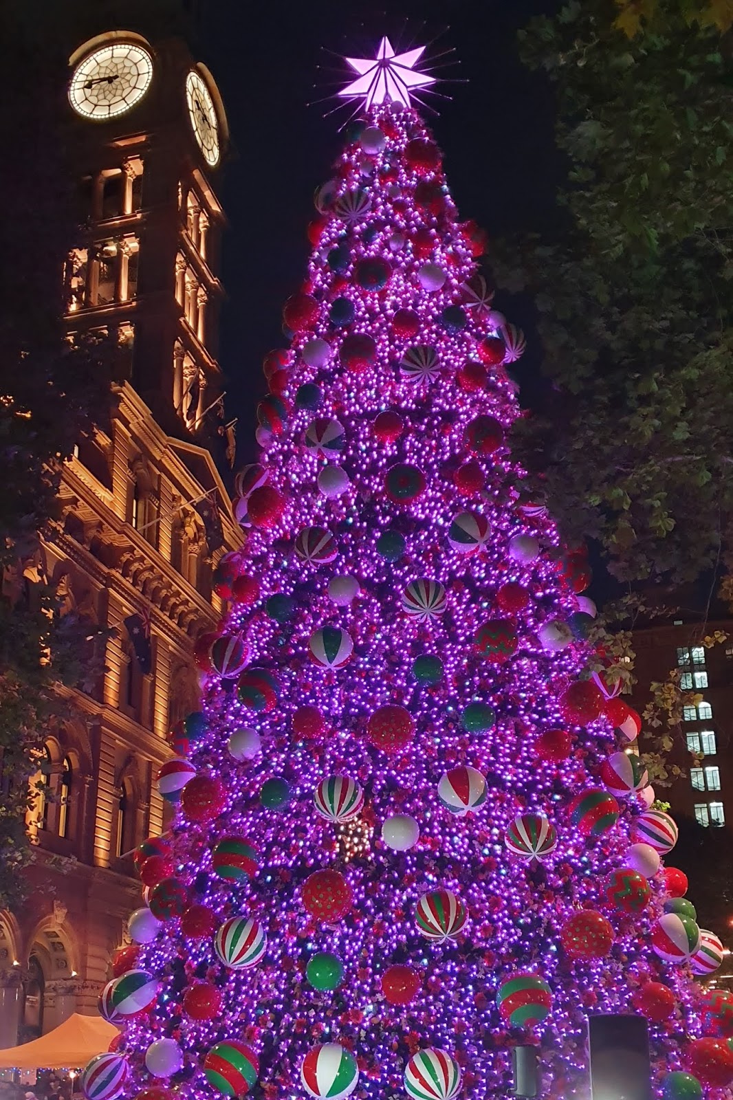 Sydney City and Suburbs Martin Place, Christmas Tree
