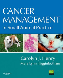 Cancer Management in Small Animal Practice