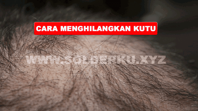 CARA MENGHILANGKAN KUTU RAMBUT