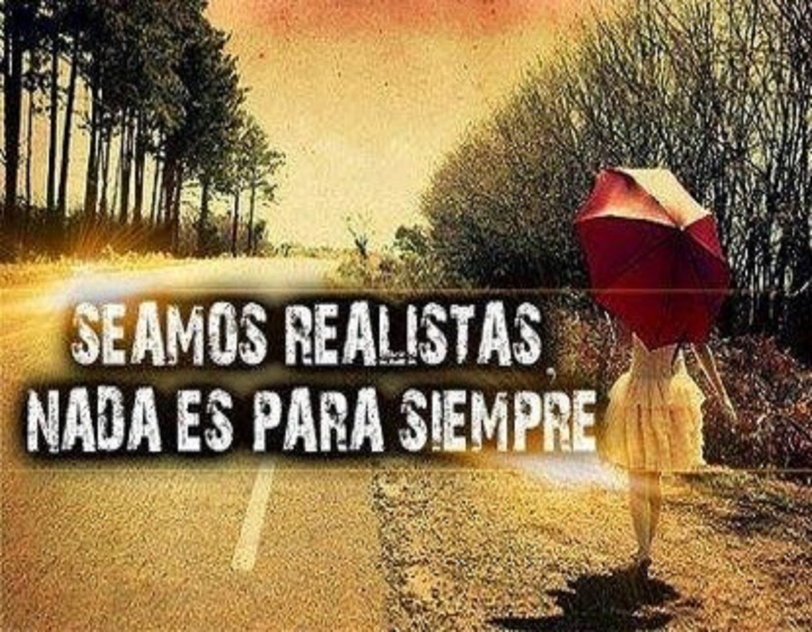 💢🏮🌟🏮💢 Seamos realistas, tengamos en cuenta que en esta vida nada es