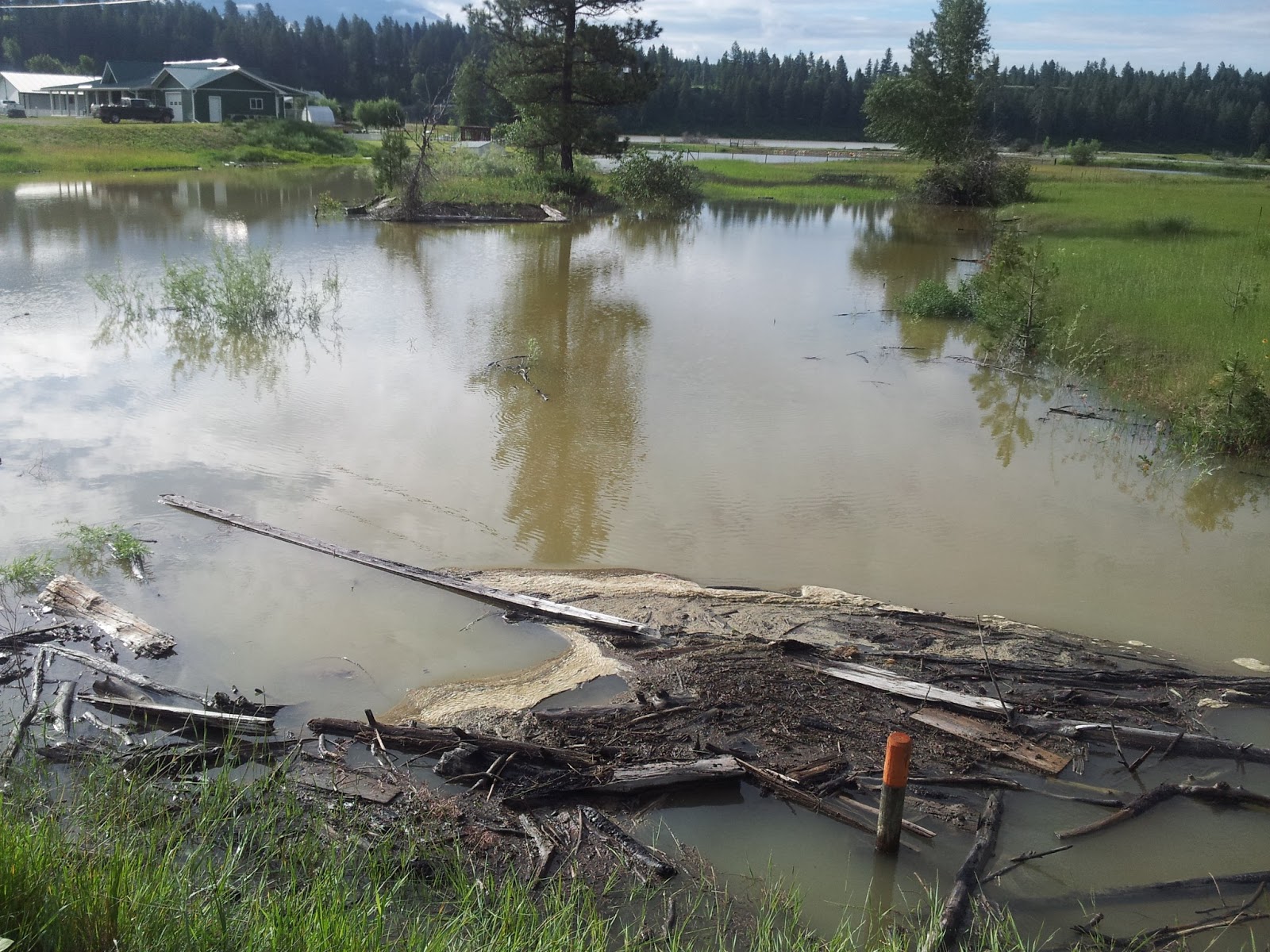 Wasa Lake Community Blog Wasa Lake Photos