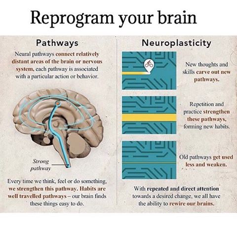 Dr. Nana's Healthy Habits Update: Chiropractic Helps Reprogram Your ...