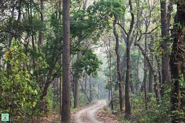 Parque Nacional de Bardia, Nepal