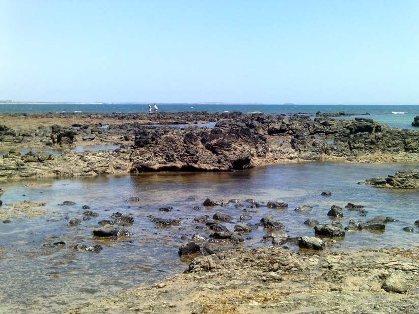 TRACKS, TRAILS AND COASTS NEAR MELBOURNE Very low tide at Balnarring Beach, Westernport Bay