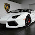 White Lamborghini Car Pictures