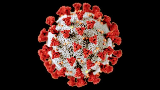 O vírus tem uma foma de coroa vista no microscópio eletrônico. A doença causada por esse vírus foi denominada de coronavírus que recebeu o nome de covid-19 a atual pandemia mundial do século XXI. O vírus tem uma foma de coroa vista no microscópio eletrônico. A doença causada por esse vírus foi denominada de coronavírus que recebeu o nome de covid-19 a atual pandemia mundial do século XXI.