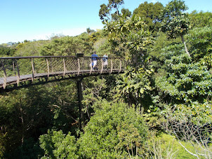 Kirstenbosch Botanical Garden in Cape Town.