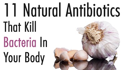 11 Natural Antibiotics That Kill Bacteria In Your Body
