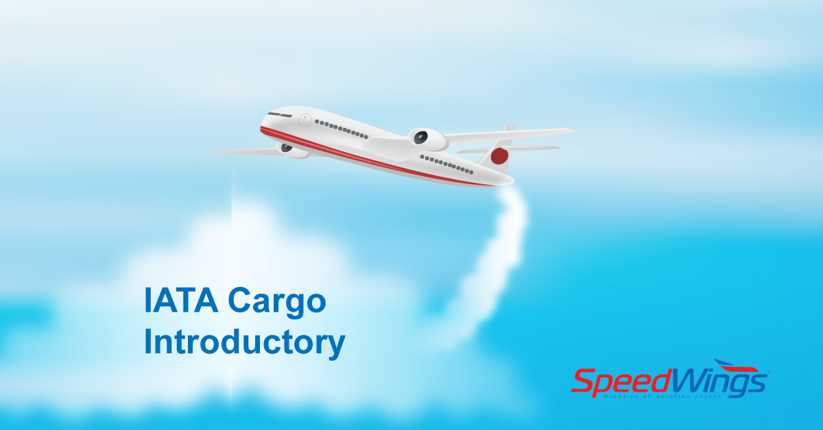 IATA Cargo Courses in Pune Cargo Introductory Course