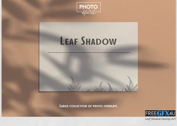 Leaf Shadow Overlays