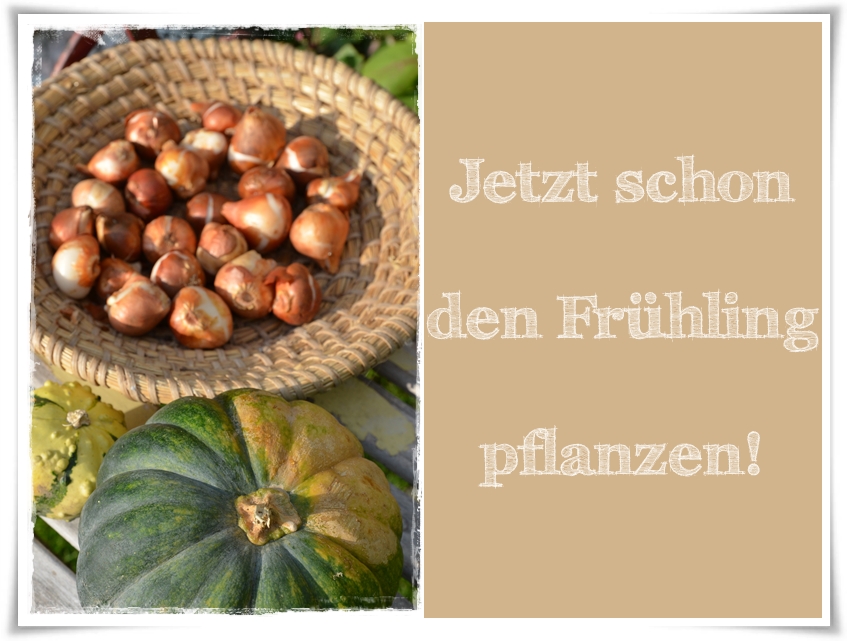 Gib Nie Etwas Auf An Das Du Jeden Tag Denken Musst Liebe