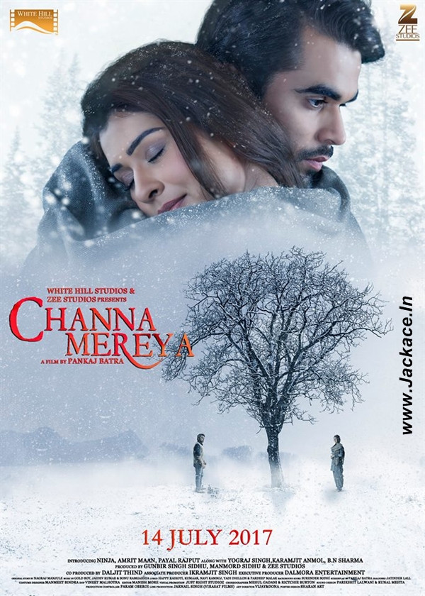 Channa Mereya: Box Office, Budget, Cast, Hit or Flop, Posters, Release