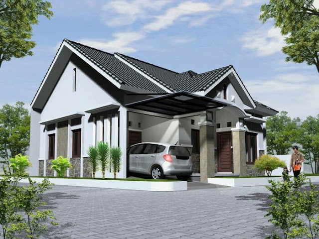 simple village house design picture