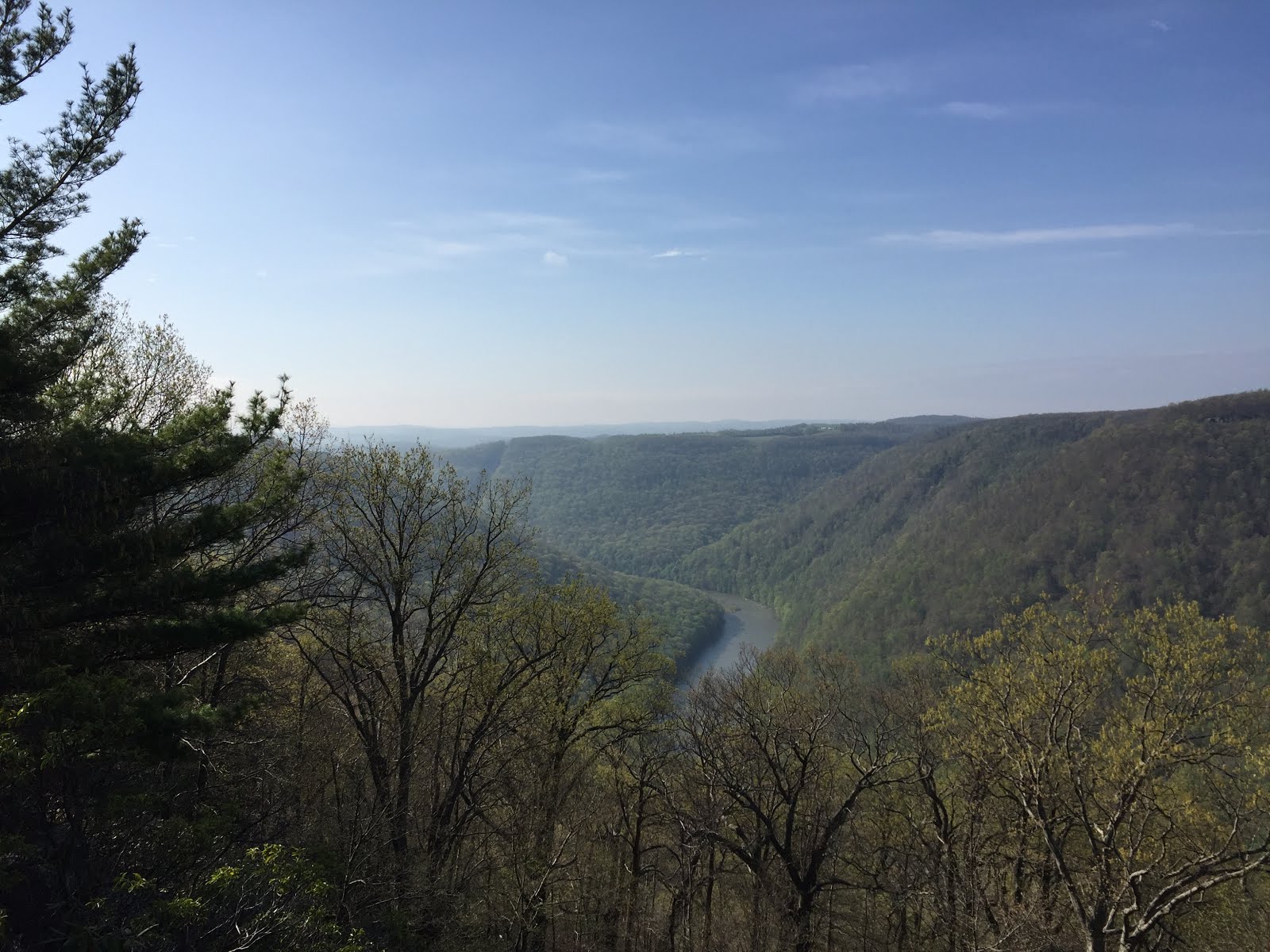 Cooper's Rock Prize View