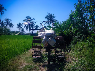 Farm Field Scenery With Two Wheel Hand Tractor Parking On The Edge Of The Rice Fields At Ringdikit Village North Bali Indonesia