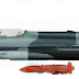 September 7 in the name of the lion hearted soldiers of the Pakistan Air Force