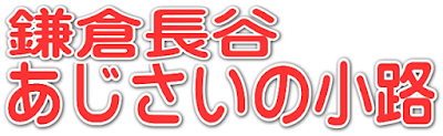 鎌倉長谷あじさいの小路