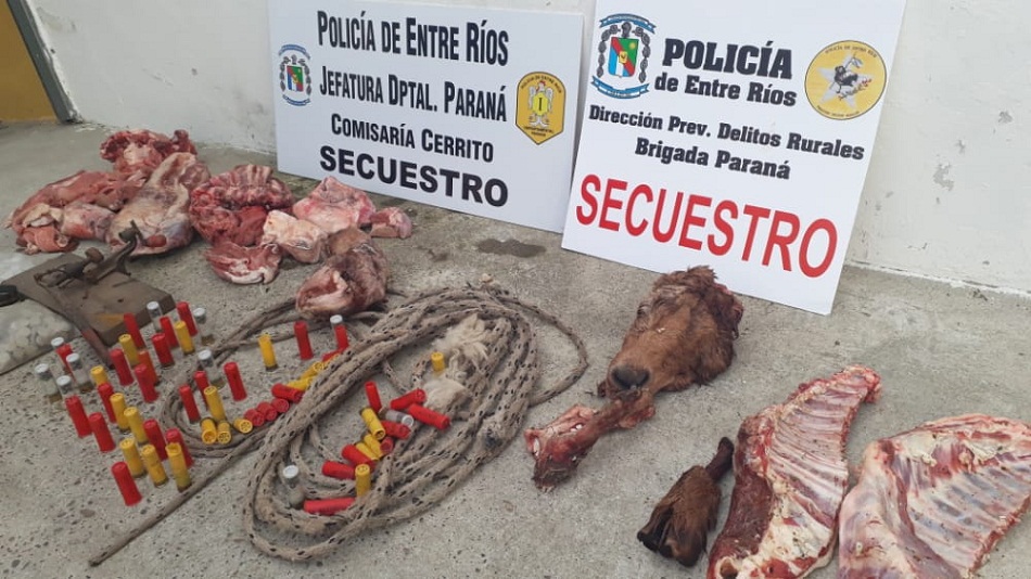 WhatsApp%2BImage%2B2021-05-10%2Bat%2B18.45.13