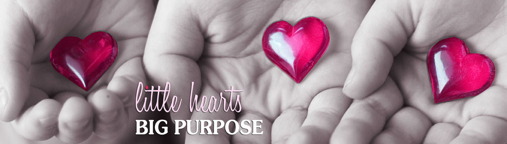 Little Hearts Big Purpose