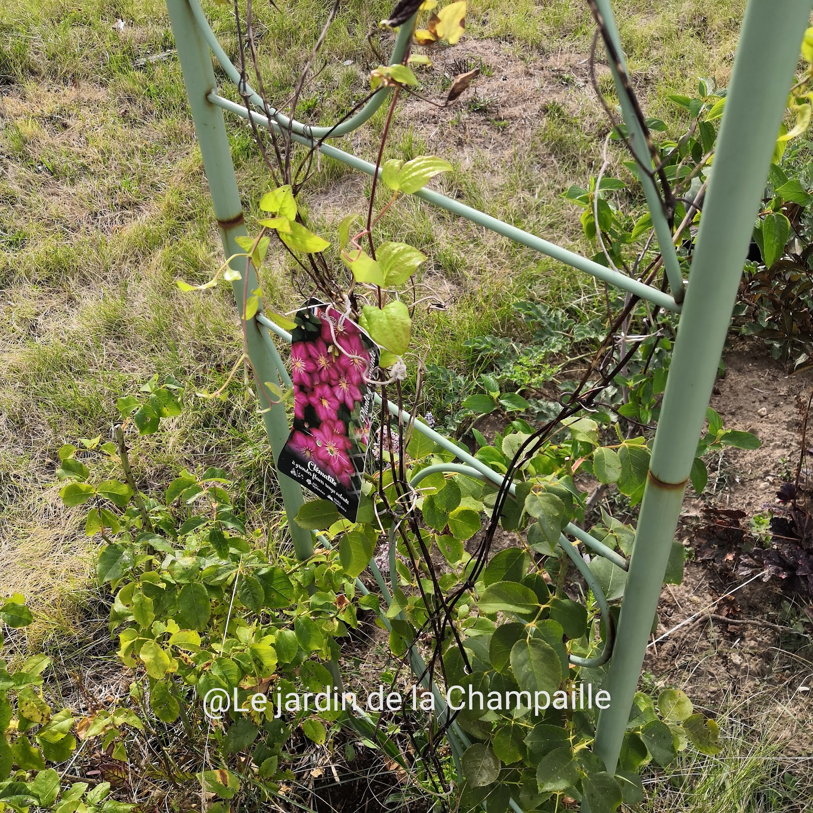 Le Jardin D Helene Ma Preference