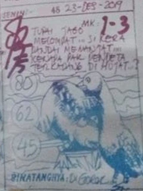 Gambar Kalong Hk Hari Ini Rahman Gambar