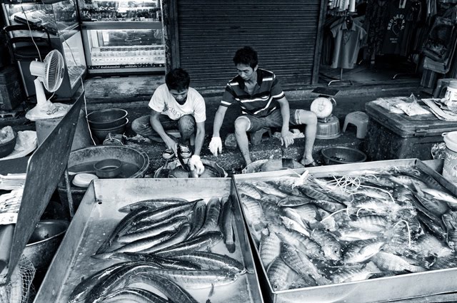 city fish market
