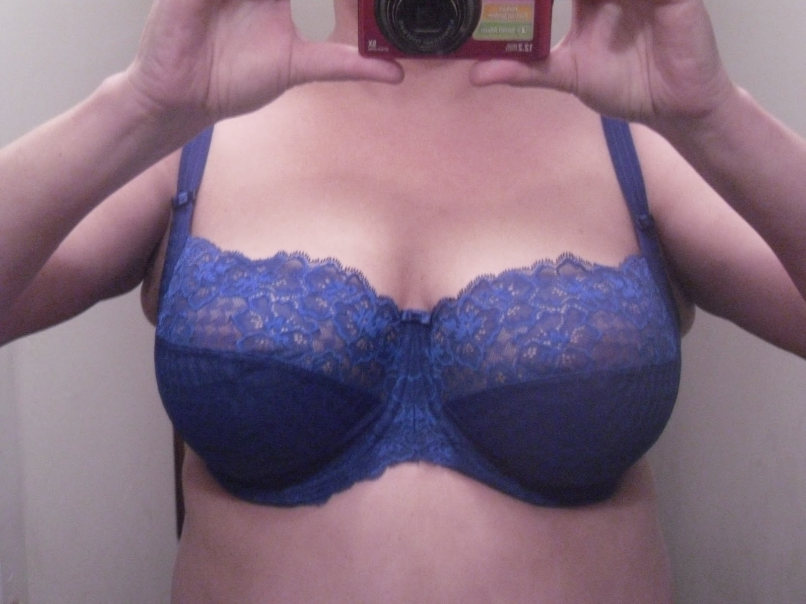 beautiful with big boobs bra selfie