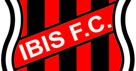 ESCUDOS GINO: IBIS FC (JOÃO PESSOA) - PB - PARTE 2  Quiz de futebol,  Futebol nacional, Escudos de futebol